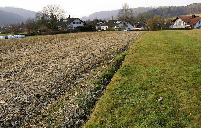 Die Stadt erwirbt nur 30 Prozent der G...es Baugebiets Heubhl noch im Sommer.   | Foto: BZ