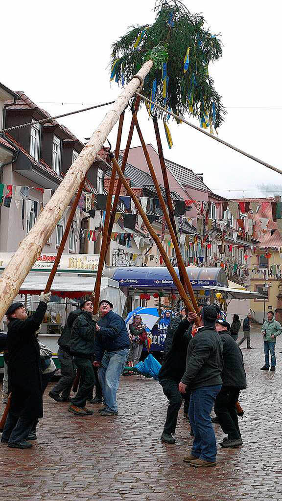 Ein Narrenbaum für die Geburtstagszunft. Ein Narrenbaum für die Geburtstagszunft.