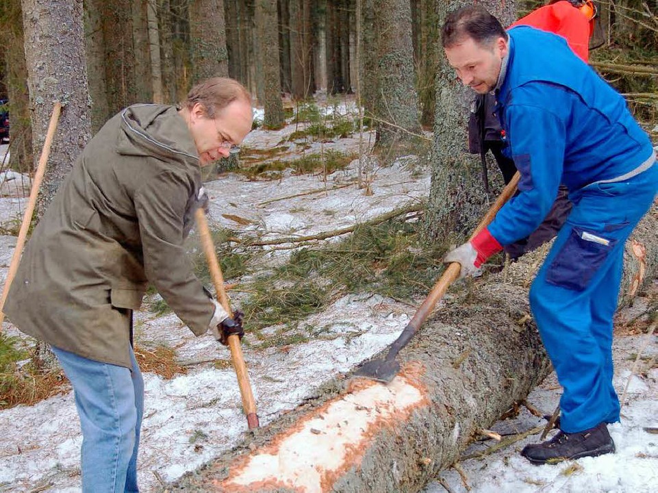 Baum fällt Narrenräte krempeln Ärmel hoch Bonndorf