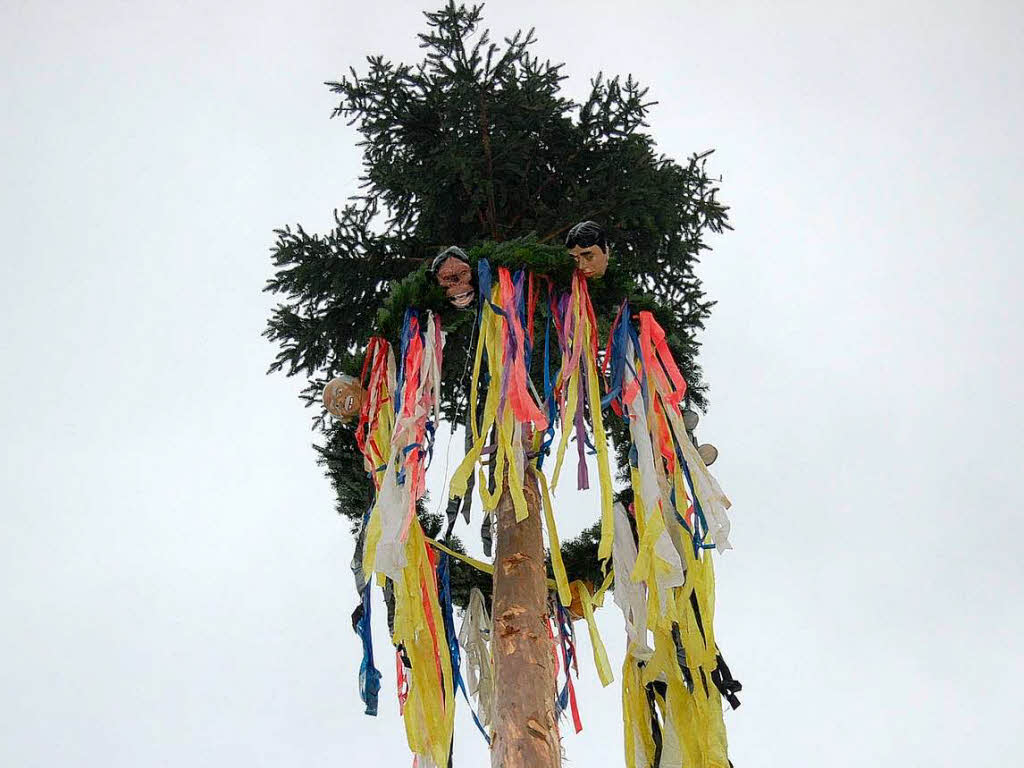 Impressionen vom Hochrhein Narrentreffen in Rheinfelden