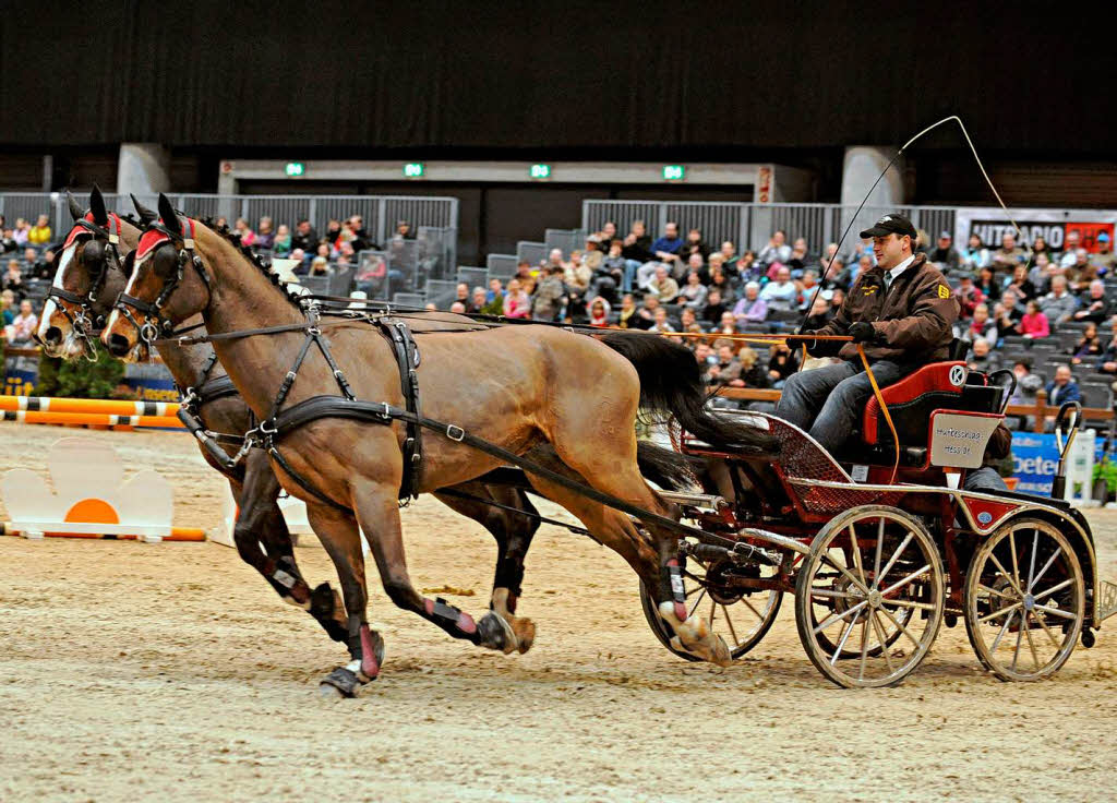 Baden Classics: Eine Reitsport-Veranstaltung auf hohem Niveau.