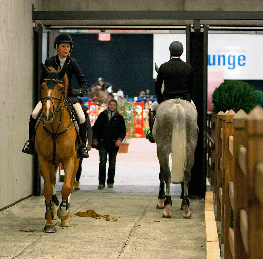 Baden Classics: Eine Reitsport-Veranstaltung auf hohem Niveau.