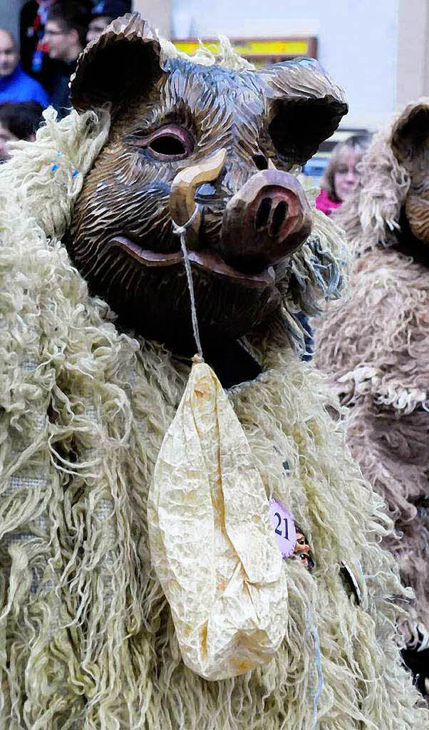 Ein Spessarter Eber
