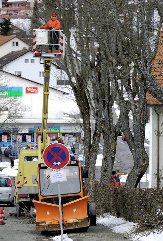 die stadt fllt bume  | Foto: peter stellmach