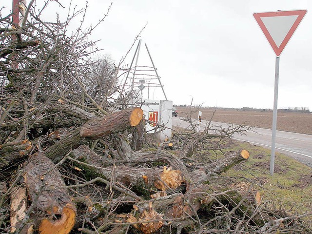 In Friesenheim fiel ein Baum auf  die Strae. Er musste gefllt werden  | Foto: Heidi Foessel