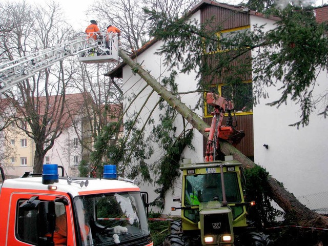 In Bad Krozingen strzte heute morgen ein Baum auf ein Haus.  | Foto: Feuerwehr Bad Krozingen