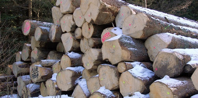 3250 Festmeter Holz wurden im Gemeinde...rg im vergangenen Jahr eingeschlagen.   | Foto: Ralf Morys