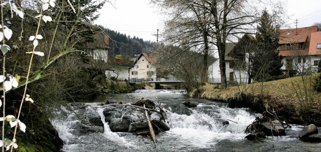 Friedlich pltschert die Kleine Wiese ...enden Baumanahmen abgeholfen werden.   | Foto: Heiner Fabry