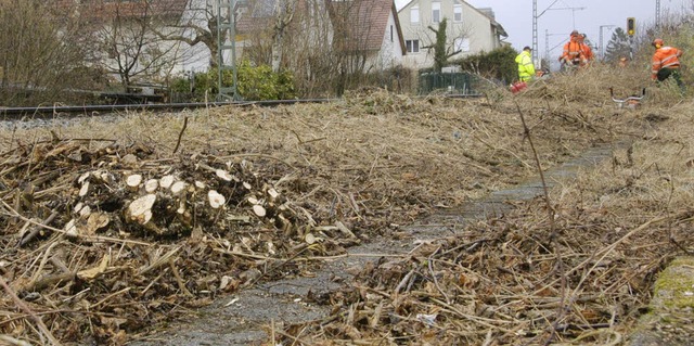 Zum Teil radikal zurckgestutzt wurde ...lz neben den Gleisen am Schutzacker.   | Foto: jochen fillisch