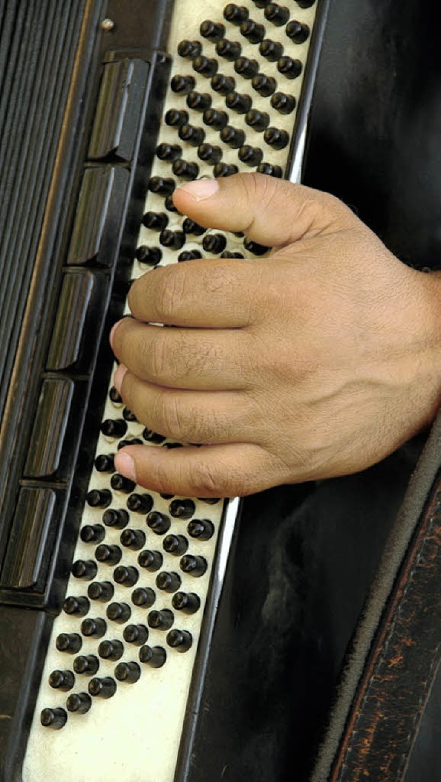 Wer das Instrument Harmonika erlernen will, der kann dies beim  Spielring tun.   | Foto: Fotolia