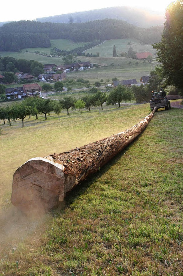 Wohin steuert die Waldwirtschaft im Sc...BG Schuttertal hoffen, nicht abwrts.   | Foto: archivfoto: Heidi Fssel