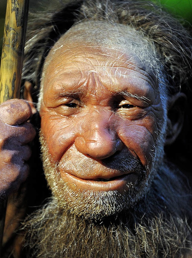 Die Nachbildung eines Neandertalers im Neandertaler-Museum in Mettmann  | Foto: dpa