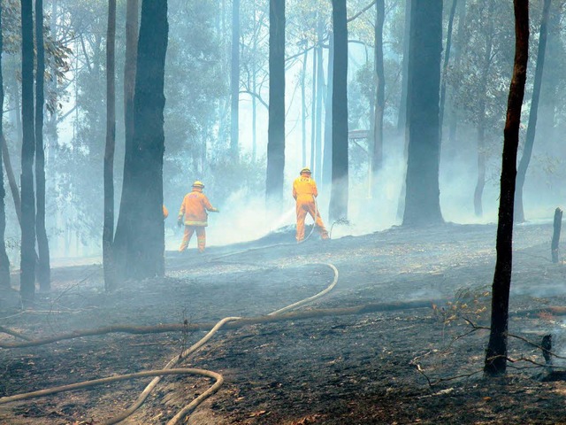 Sinkende Temperaturen haben den Feuerwehrmnnern geholfen.  | Foto: dpa