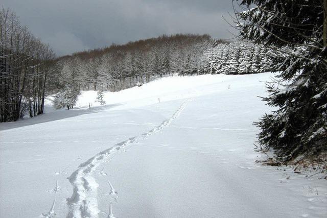 Bilder des Tages: EINE SPUR IM SCHNEE