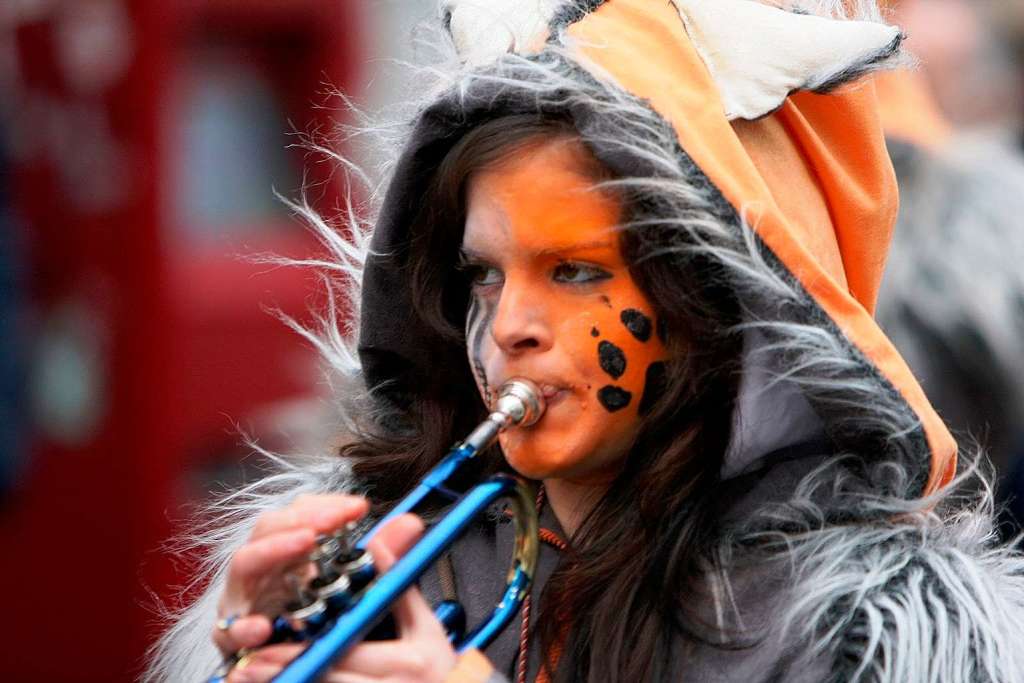 Straenfasnet der BNZ in Freiburg