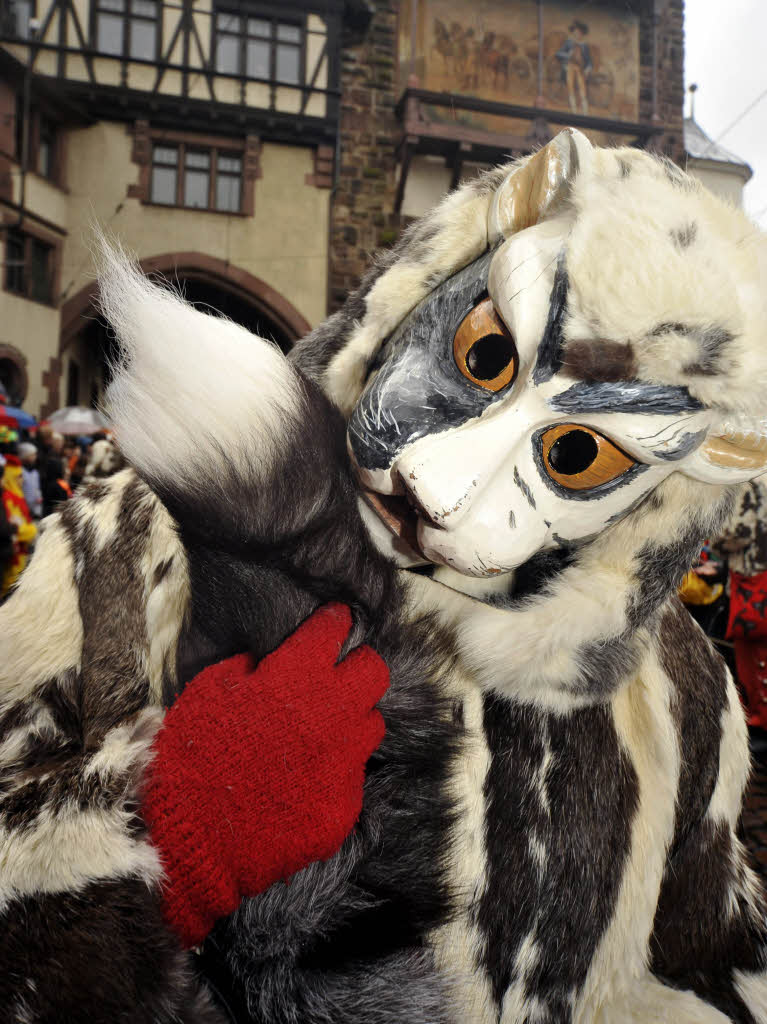 Miau-Zunft Freiburg beim Rosenmontagsumzug.