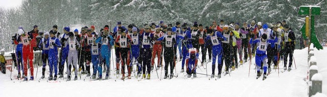 Bei besten Loipenverhltnisse, aber we...er Skimarathon in Bernau  ausgetragen.  | Foto: Ulrike Spiegelhalter