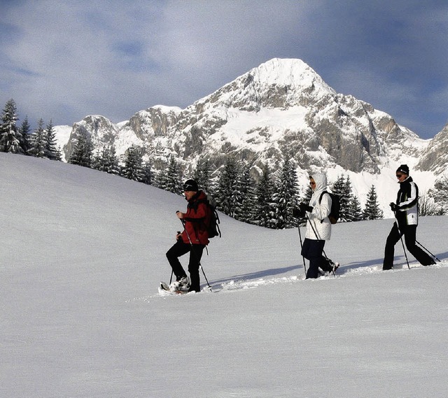 Schneeschuhwanderungen werden auch im ...eichischen Lammertal immer beliebter.   | Foto: pr