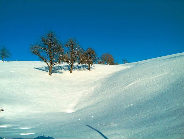 Reichlich Schnee gab es im Februar in der Region Ettenheim.  | Foto: Stefan Ohnemus