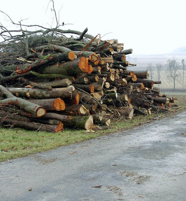 Wie  die Stapel zeigen, kam bei der Ab...lz zusammen. Gest   wurde  verbrannt.  | Foto: Herbert Frey