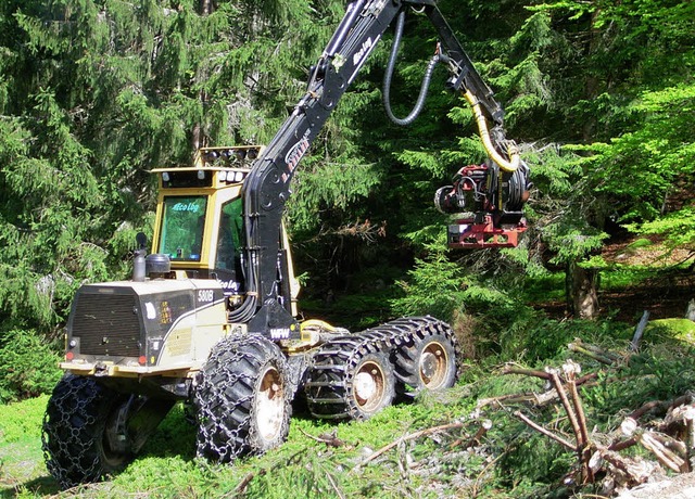 In den Steilhngen im hinteren Albtal ...hert, befahren und Bume herausnehmen.  | Foto: horst a. bss