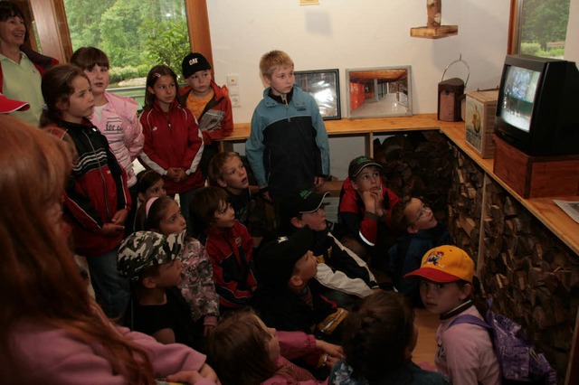 25 Kinder  der ersten und zweiten Klas...m Nistkasten live am  Bildschirm.       | Foto: Wilfried Dieckmann