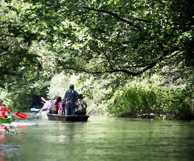 Ein grnes Wunder erleben &#8211; auch dazu laden die Science Days ein.  | Foto: dpa