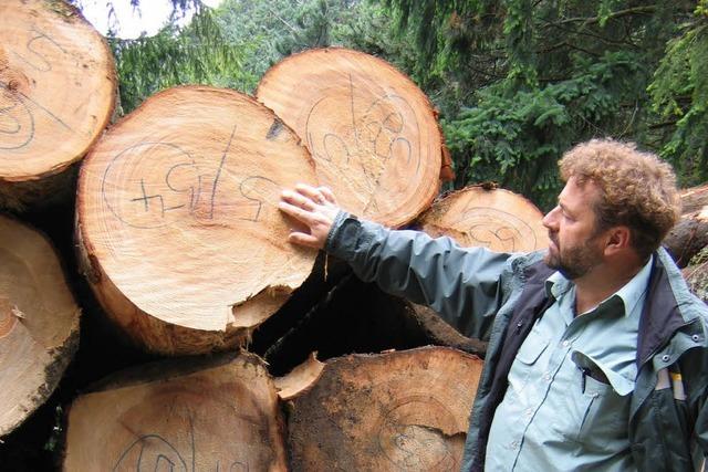 Der Mnstertler Wald erwirtschaftet endlich wieder Gewinn