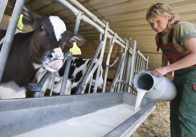 Die Khe bekommen ihre eigene Milch, d...n Wiesental ist die Situation anders.   | Foto: dpa