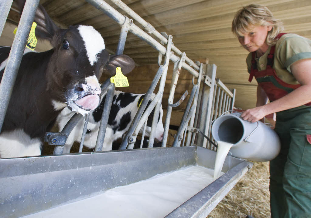 Bauern streiten um Boykott Schönau Badische Zeitung