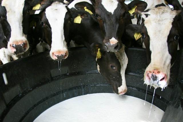Den Milchbauern blutet das Herz