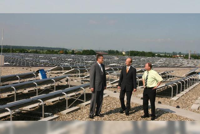 Aufstieg zur Solarcity dank Aldi