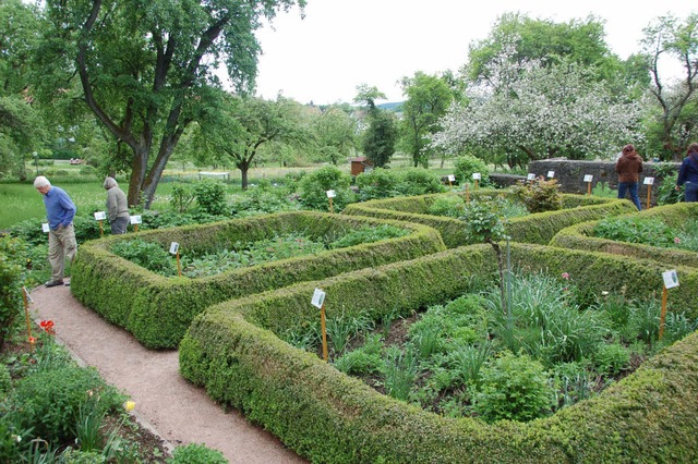 In einen informativen Krutergarten ve...ligen Hausmeistergarten beim Schloss.   | Foto: Khnemund