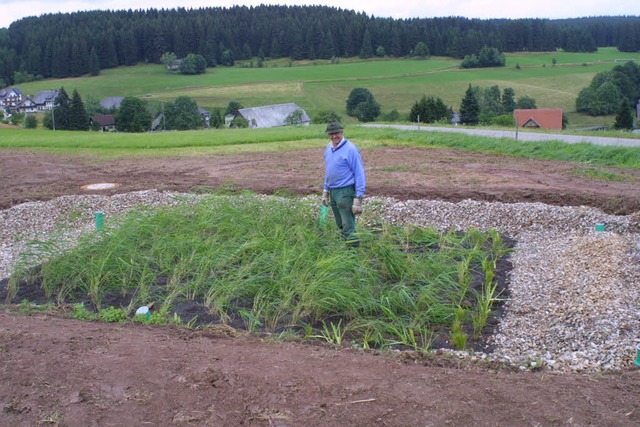Neben dem Pflanzenbeet (rechts) hat di...kompostiert. FOTOS: WILFRIED DIECKMANN  | Foto: Wilfried Dieckmann