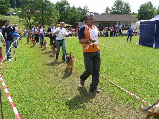 Schferhundeparade vor groem Publikum...lichem Sommerwetter groes Interesse.   | Foto: Kurt Meier