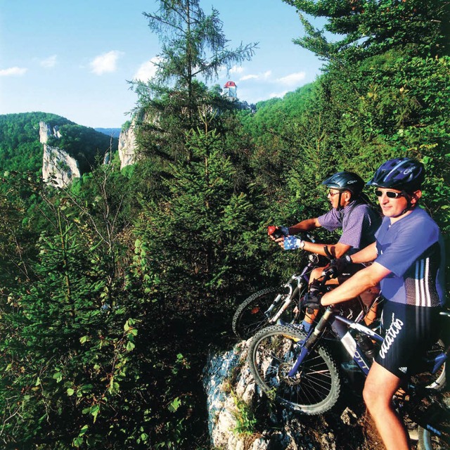 Manche Wanderer und Reiter rgern sich ber Mountainbiker auf Wegen im Wald.   | Foto: ddp