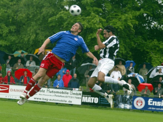 Bei Regen bleiben Vgel am Boden.  So ...r dem triefenden Grn fr sich allein.  | Foto: Dieter Reinhardt