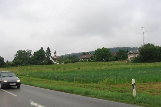 Die grne Wiese weicht den Husern