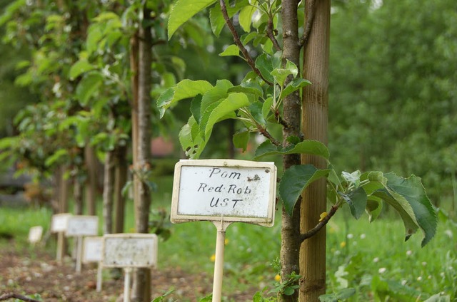 Die Beschriftung des Gartens soll im Juni erneuert werden.  | Foto: Kathrin Blum