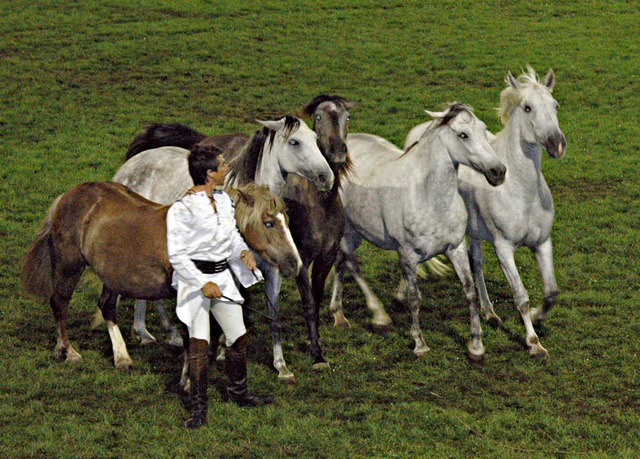 Jean-Franois Pignon kommt mit seiner ...iesem Jahr wieder nach Schutterwald.    | Foto: Archivfoto: Michael Heuberger