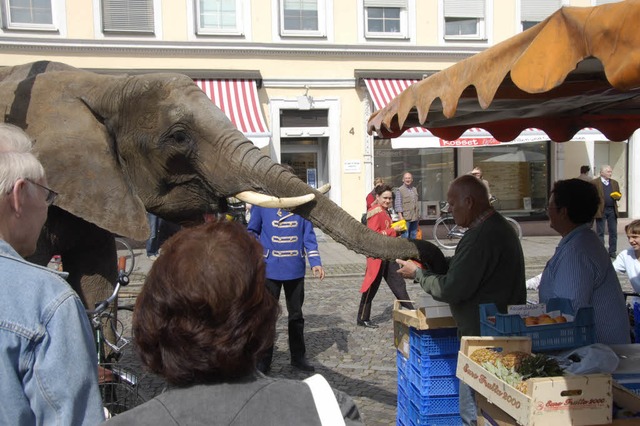 Auf Du und Du mit einem Dickhuter: Ma...e Zirkuselefant Benjamin mit Melonen.   | Foto: Gerhard Walser