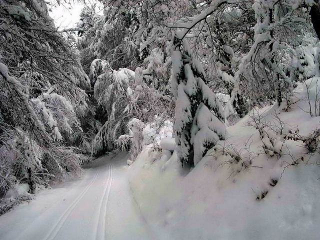 Die schne Winterlandschaft hat auch ihre Tcken.  | Foto: Ulrike Spiegelhalter