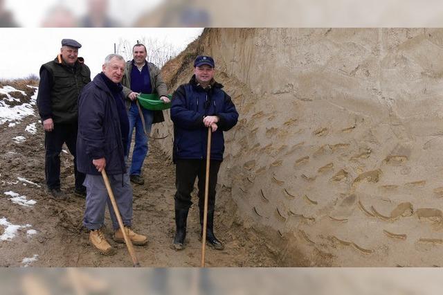 Besonderer Arbeitseinsatz am Schelinger Kirchberg