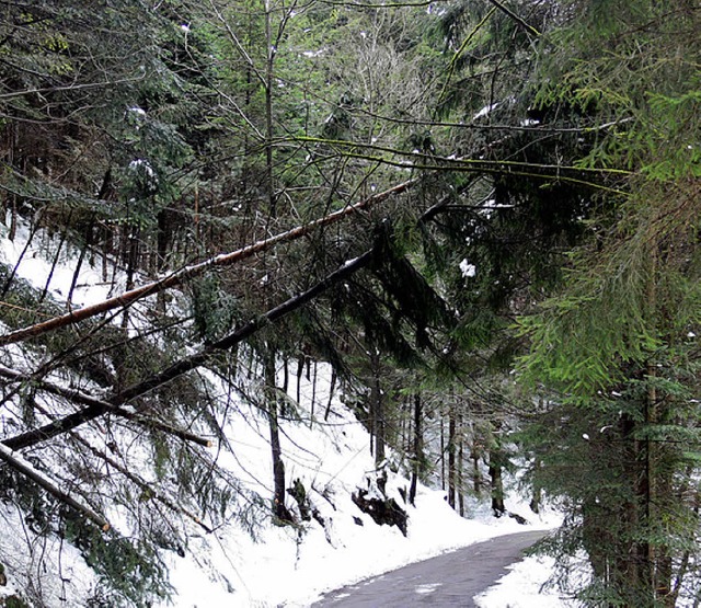 Schneebruch machte das Passieren der W...enende zum lebensgefhrlichen Risiko.   | Foto: mga