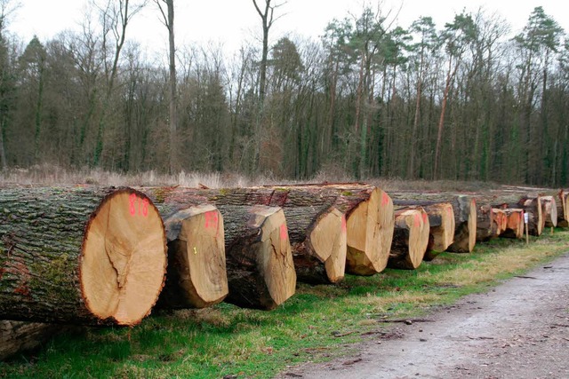 Die Preise fr Holz sind am Markt eingebrochen.  | Foto: ZVG