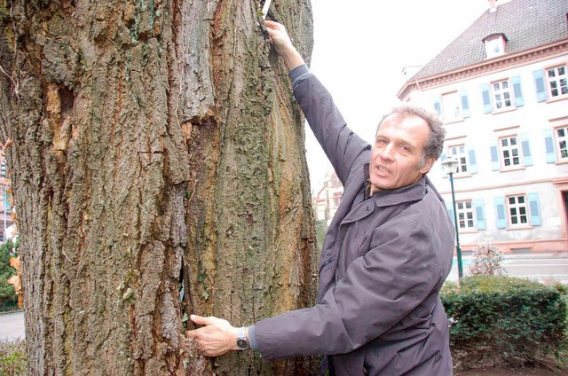 Hubert Wernet demonstriert: Das oben i...n einem Riss weiter unten wieder auf.   | Foto: Ralf Burgmaier