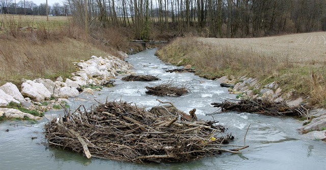 Diesmal ist es nur Kleinholz, das bei ...ei Jahren Bachlebewesen sterben lie.   | Foto: frey