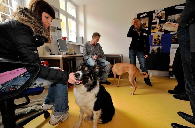 Immer fr Lisa und Oli da: Die Hunde E...den Alltag bei &#8222;Schubs&#8220;.    | Foto: bamberger