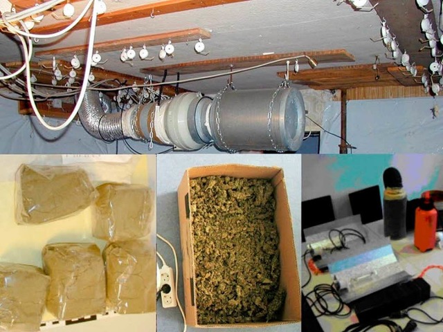 Die Fotomontage der Polizei zeigt tech...r Hausacher Indoor-Cannabis-Plantage.   | Foto: polizei