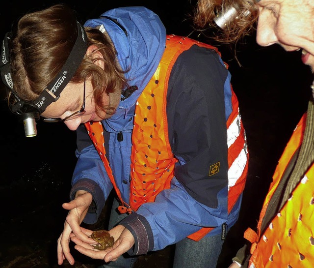 Biologin und Bund-Mitglied Elke Brande...,  untersucht ein Erdkrten-Mnnchen    | Foto: Andreas Braun